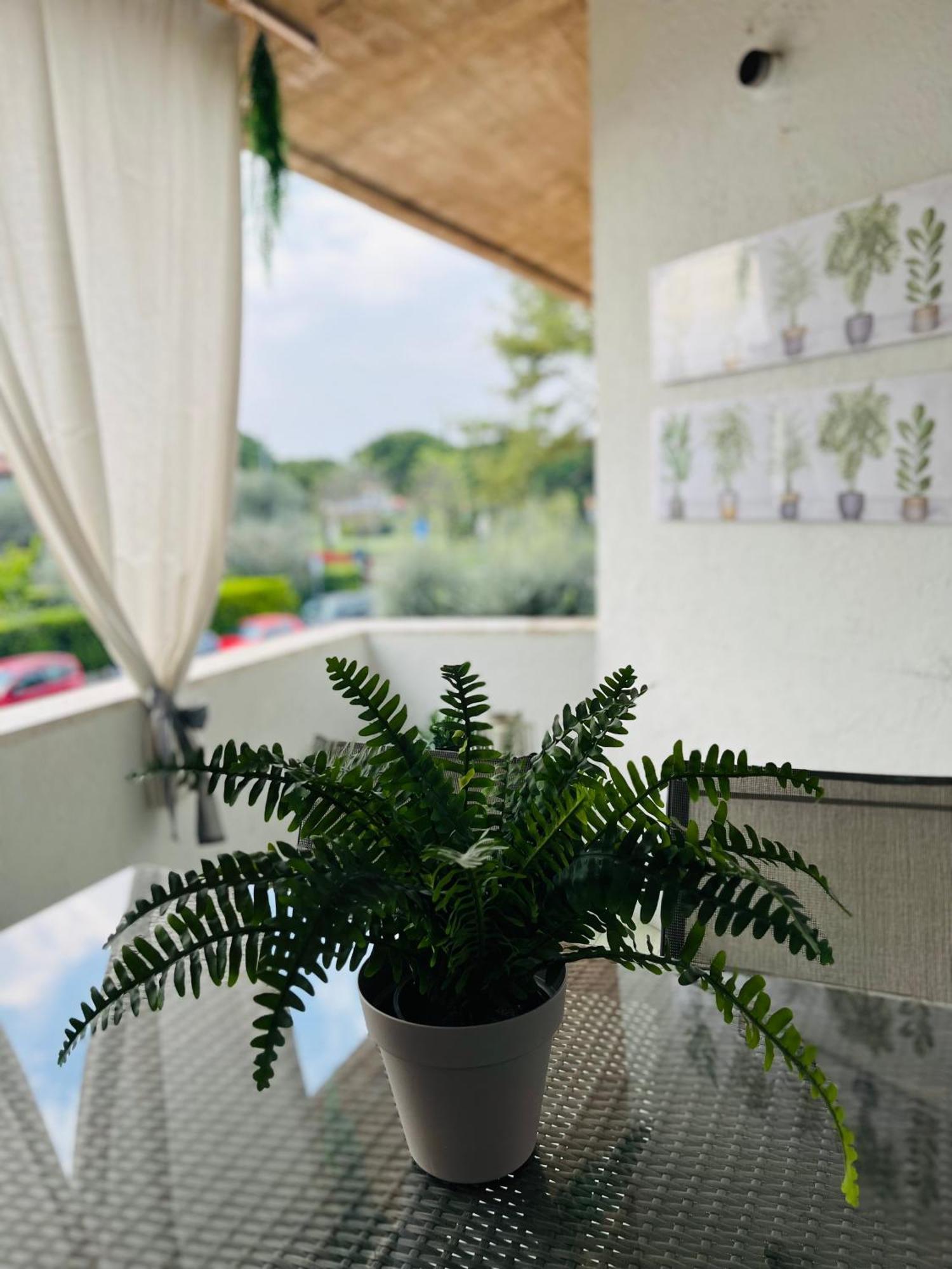Your Familyapartment In ซีร์มิโอเน ภายนอก รูปภาพ